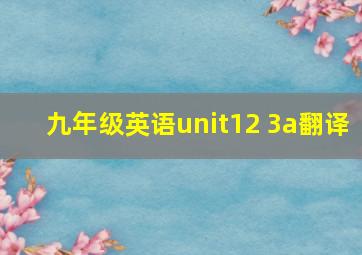 九年级英语unit12 3a翻译